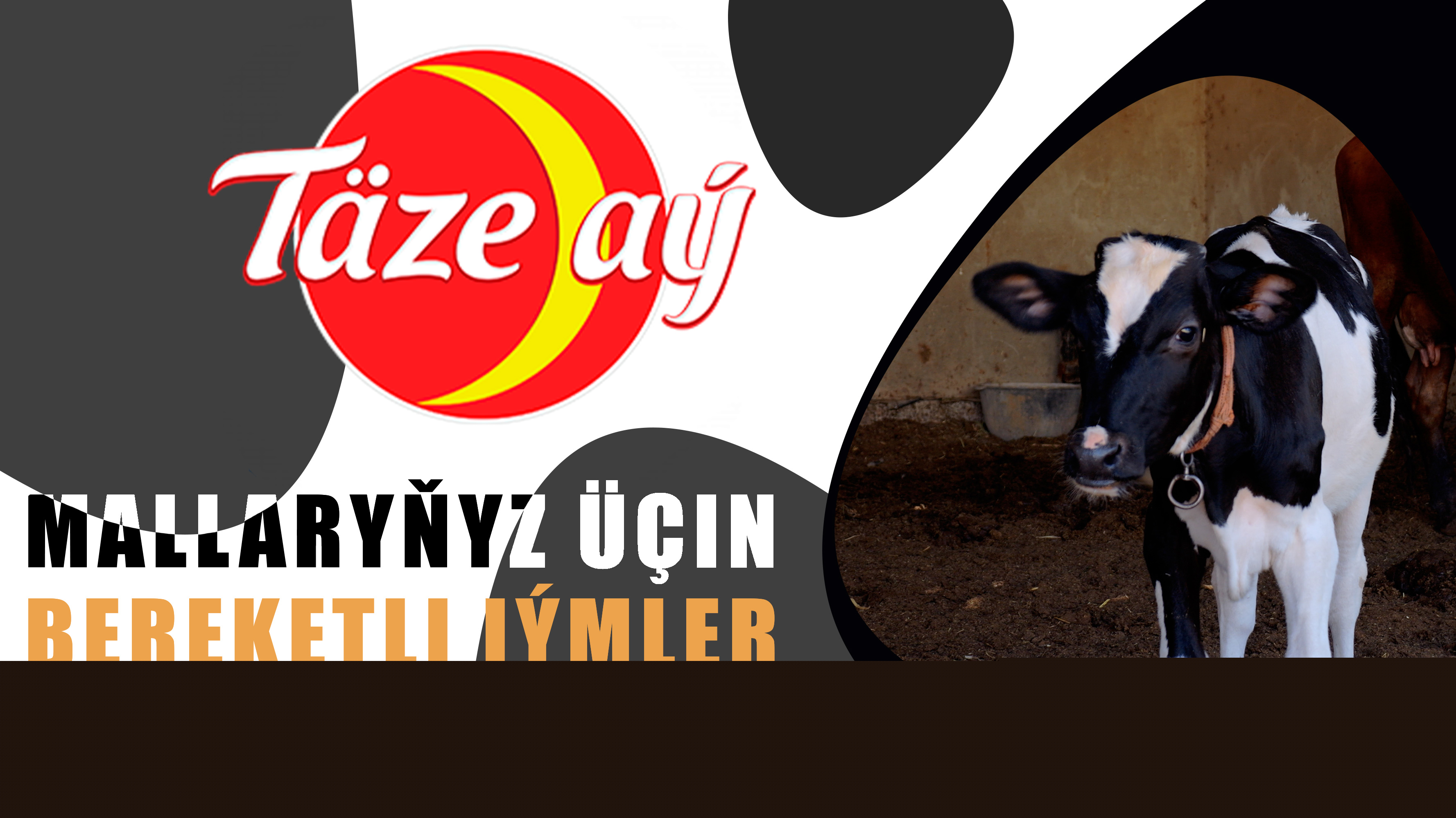 Täze aý - Богатый корм для ваших животных