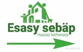 "Эсасы Себяп" ИП поможет подготовить документы по