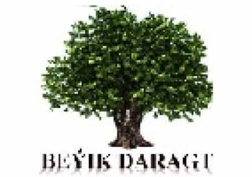 Бейик Дарагт (телекоммуникации)