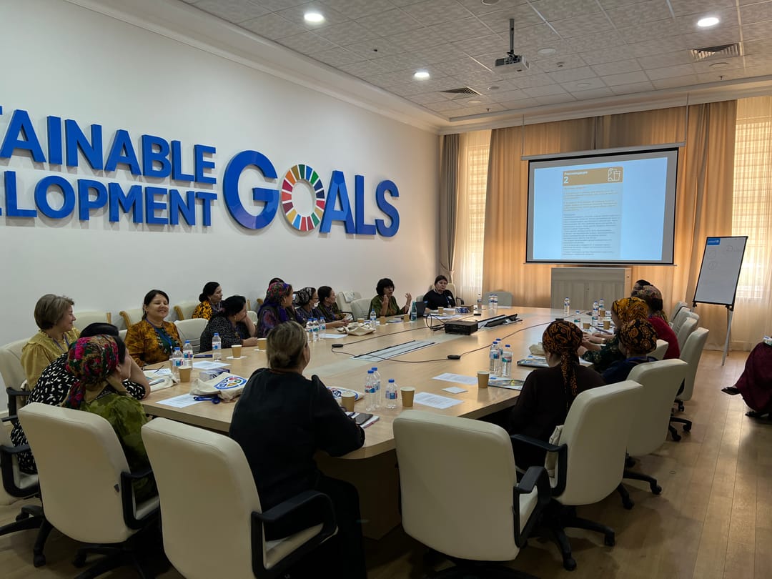 Helping Parents Give Children the Best Start in Life: Training for Health Professionals in Turkmenistan