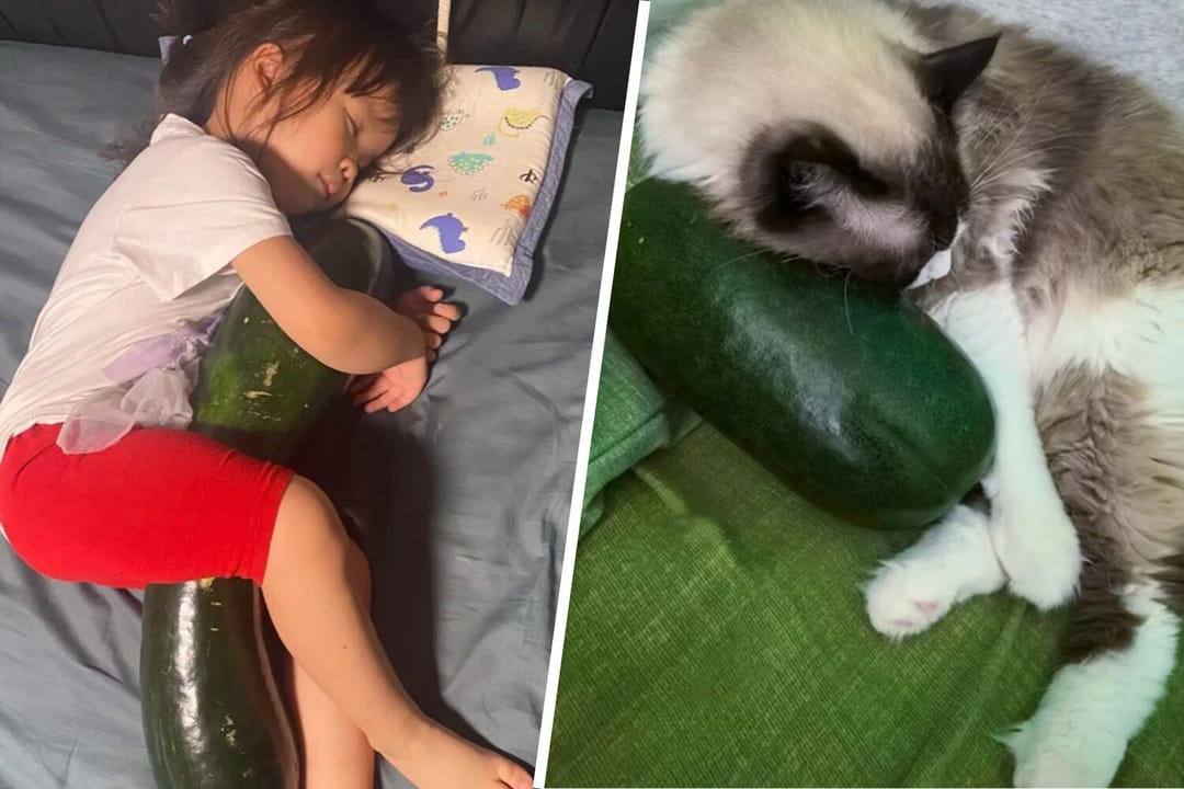 Hytaýda adamlar yssydan halas bolmak üçin gawun gujaklap uklaýarlar