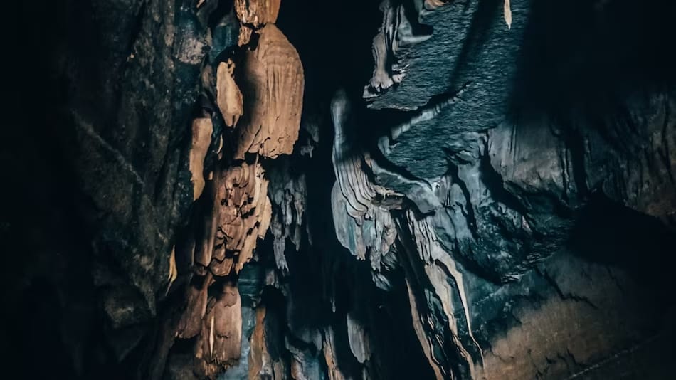 İnsanların Pasifik Adaları’na 50 bin yıldan daha önce ulaştığı ortaya çıktı