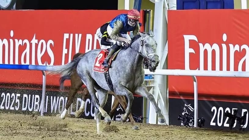 Dünyanın en yüksek ikramiyeli yarışlarından biri olan G1 Dubai World Cup'da zafer Hit Show'un oldu