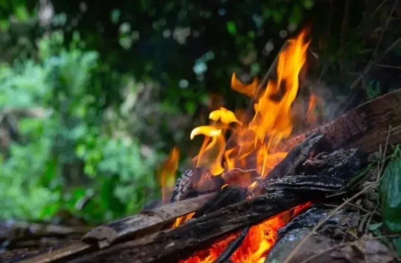 CO2 from the fires in Canada exceeded the annual emissions of almost all countries