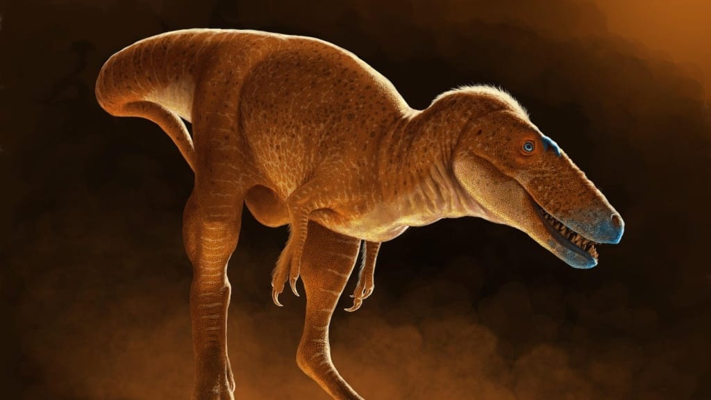 Bilim insanları, Tyrannosaurus rex’in atalarına dair bugüne kadarki bilgileri değiştirecek yeni bir dinozor türü keşfetti
