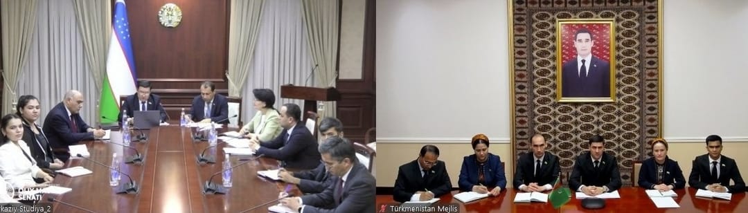 Özbegistanyň Oliý Majlisinde döredilen parlamentara dostluk toparynyň agzalary bilen duşuşyk geçirildi