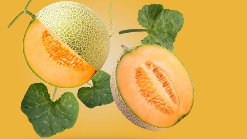 Ýaponiýada geçirilen auksionda gawunyň täze görnüşi 23,55 müň amerikan dollara satyldy