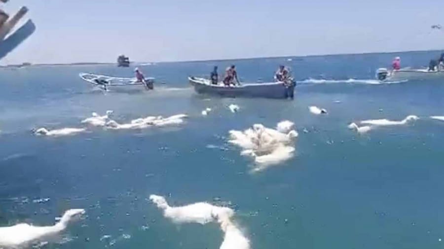 Aden Körfezi'nde koyun yüklü gemi karaya oturdu