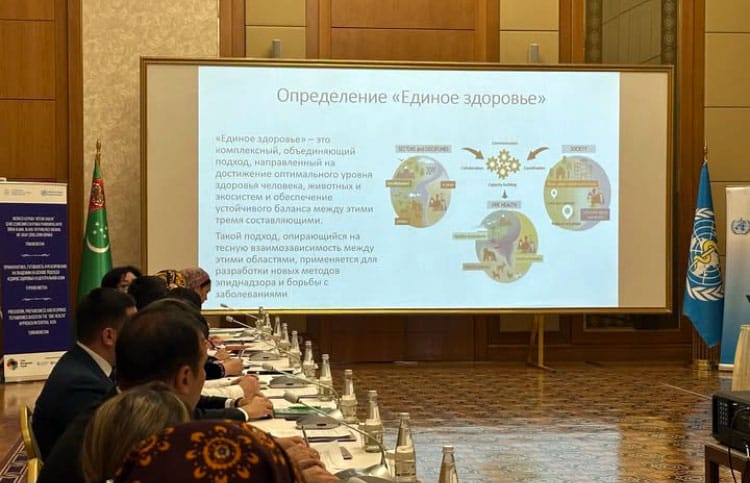 Members of the Coordination Committee discussed the implementation of the One Health approach in Turkmenistan