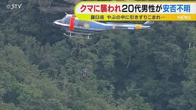 Ýaponiýada goňur aýy iki jahankeşdä hüjüm edip, birini tokaýa süýredi