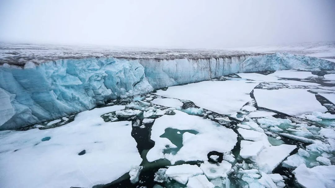 Alymlar: Arktikanyň buzluklary ýylda 25 gigatonna ýitirýär