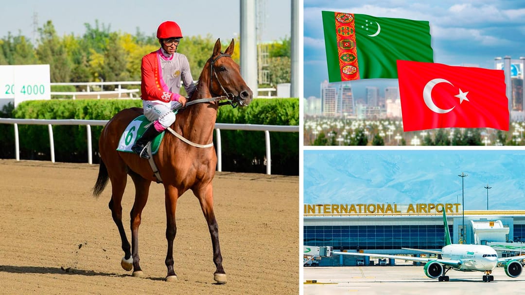 «Türkmen atlary» at çapmak boýunça okuwlara çagyrýar, «Türkmen howa ýollary» halkara uçuşlaryň tertibini köpçülige ýetirdi, Türkmenistanyň Prezidenti Türkiýäniň halkyna gynanç bildirdi