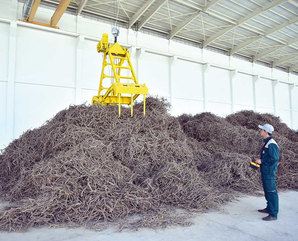 «Buýan» obasenagat toplumynda glisirrizin turşusynyň 28 tonnasy öndürildi