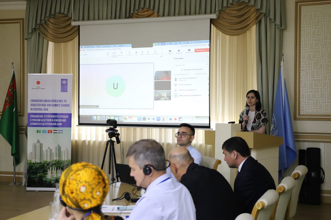 В Туркменистане презентована концепция нового регионального проекта ПРООН