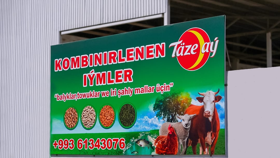 Täze Aý enters a new market: compound feed production launched in Turkmenistan