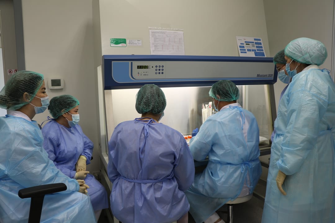 WHO boosts virological surveillance and pandemic influenza preparedness in Turkmenistan