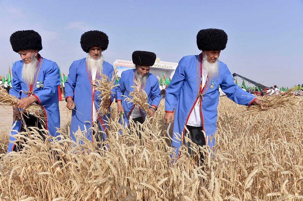 В Туркменистане ведется активная подготовка к зерноуборочной страде