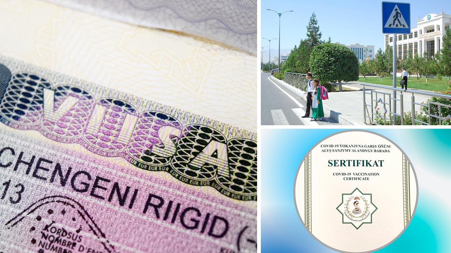 Where in Turkmenistan Schengen visas and an international certificate of vaccination against COVID-19 are issued, traffic safety month