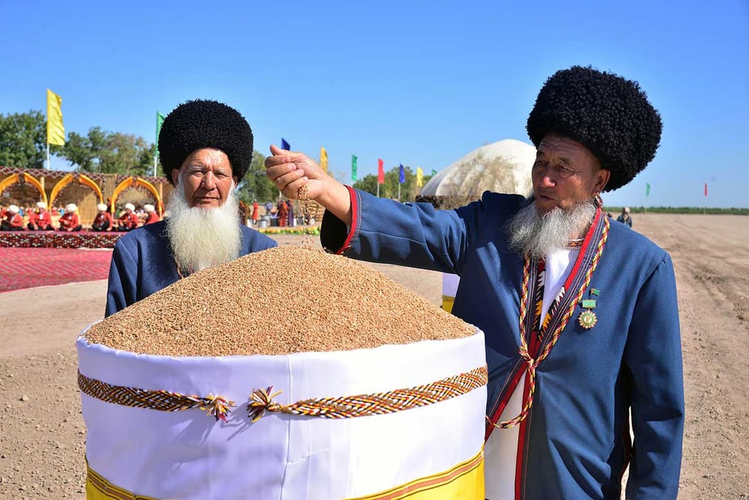 Turkmenistan's grain growers harvested over 1 million tons of wheat