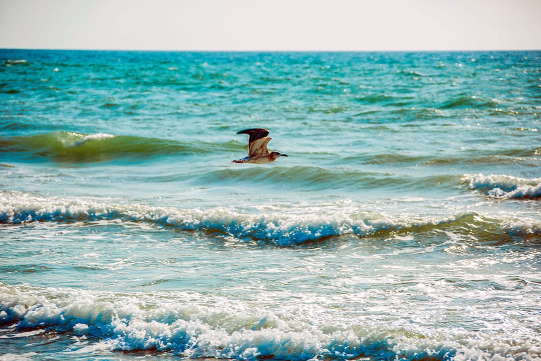Каспийское море – море согласия и возможностей