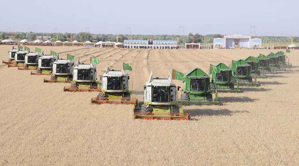 Ahal welaýatynyň gallaçylary şertnamalaýyn borçnamany üstünlikli ýerine ýetirdiler