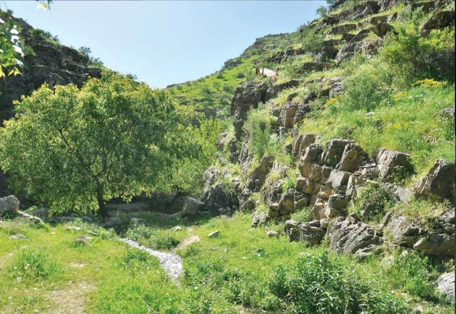 Cleaning up after yourself in nature – why is it so important?