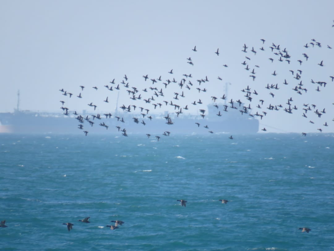 Туркменистан отмечает Международный день Каспийского моря