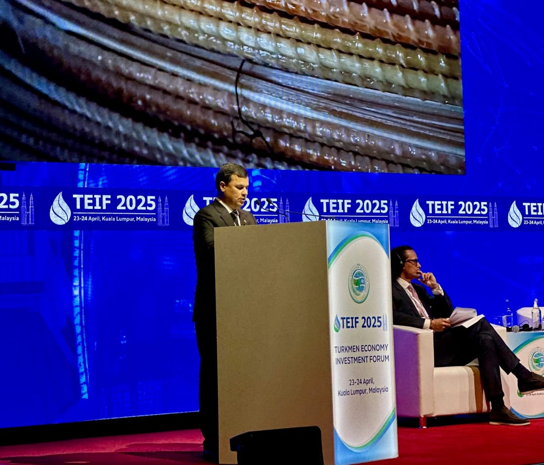 Туркменистан планирует создать новые производства за счет инвестиций - Тойгулы Нуров