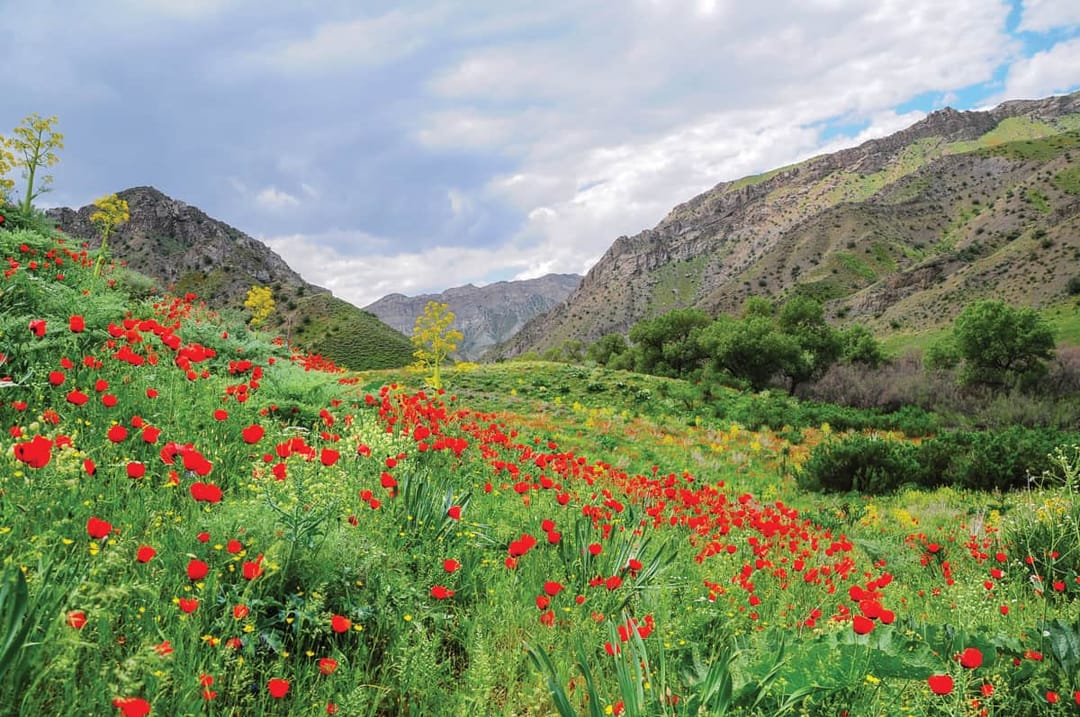 В Туркменистане внедряются новые цифровые технологии для охраны природы