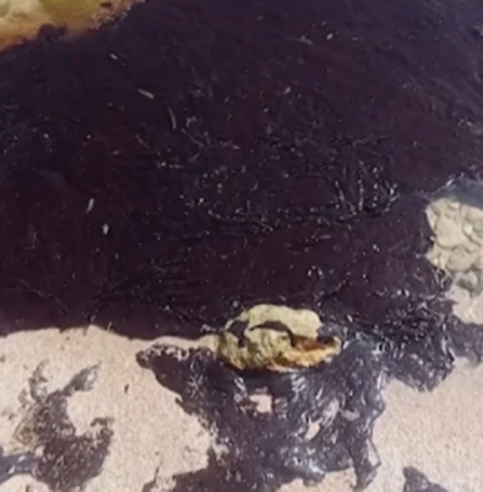 Filippinliler kenary nebitden elleri bilen arassalaýarlar