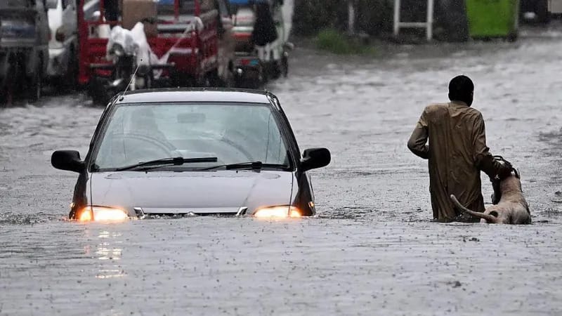 Musson ýagyşlary Pakistanda 300-e golaý adamyň pida bolmagyna getirdi