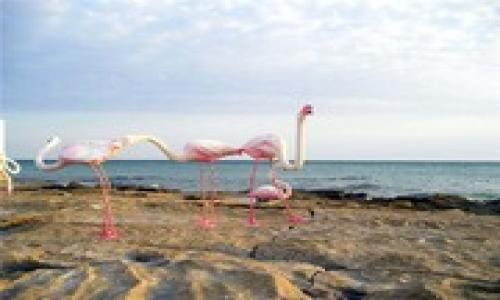 Хазарский заповедник