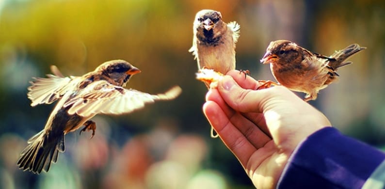 Adamy ynam ýaşadýar