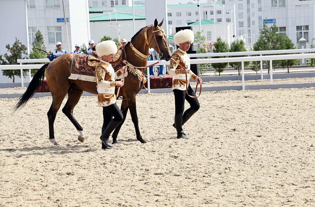Türkmenistan'da yılın en güzel Ahal-Teke atı seçildi