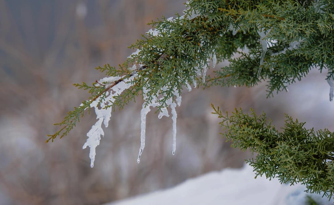 В Туркменистане наступил период «гарагыш» — предвестник настоящей зимы