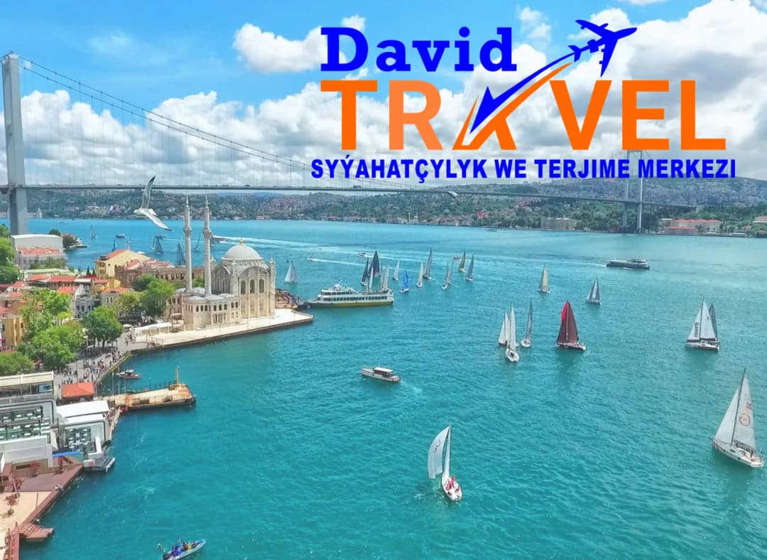 Туркомпания «David Travel» предлагает помощь в оформлении годовой визы в Турцию