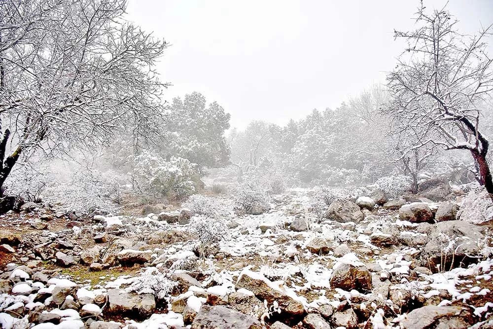 В Туркменистане по народному календарю наступил самый холодный период зимы