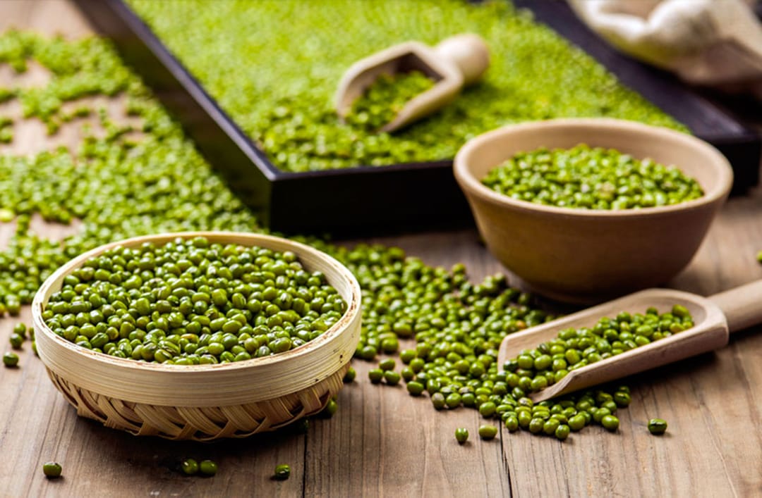 На севере Туркменистана успешно засеяли маш, нойбу и кунжут