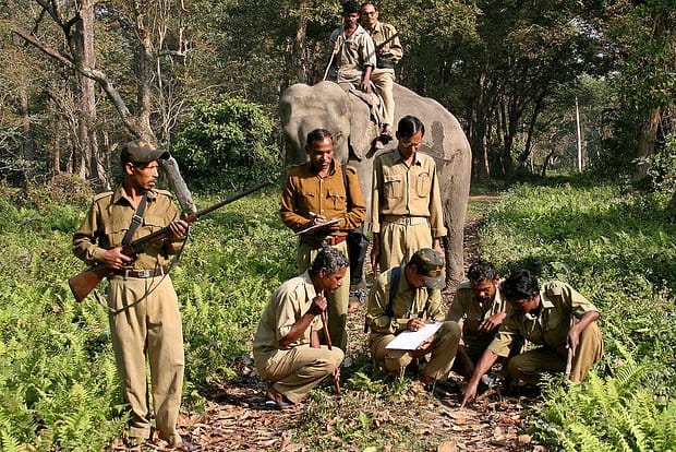 Hindistan'da bilinmeyen bir yırtıcı hayvan 17 kişiye saldırdı