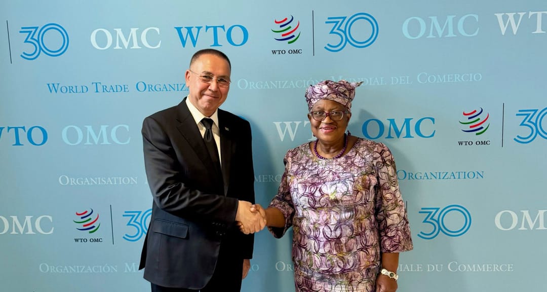 Вице-премьер Туркменистана и Генеральный директор ВТО провели переговоры в Женеве