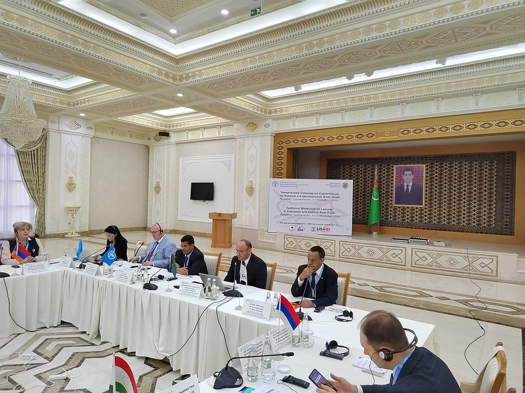 В Ашхабаде под эгидой ФАО обсуждены меры борьбы с саранчой