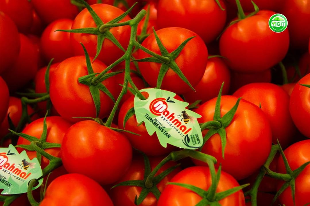 «Ýigit» kompaniýasy Türkmenistanda ilkinji gezek geçiriljek hil boýunça halkara maslahatyň kümüş hemaýatkäri bolar