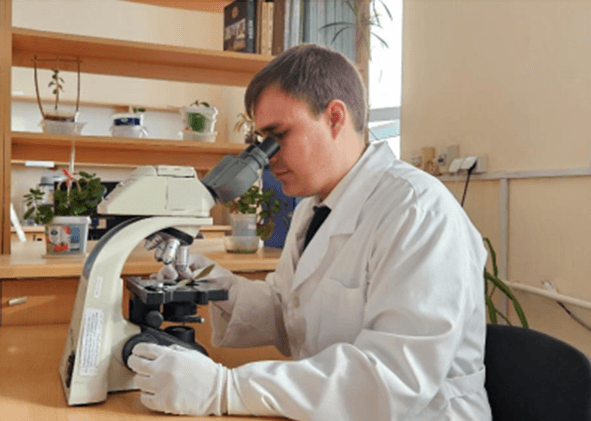 Scientists in Turkmenistan are working on making medicinal ointments from juniper