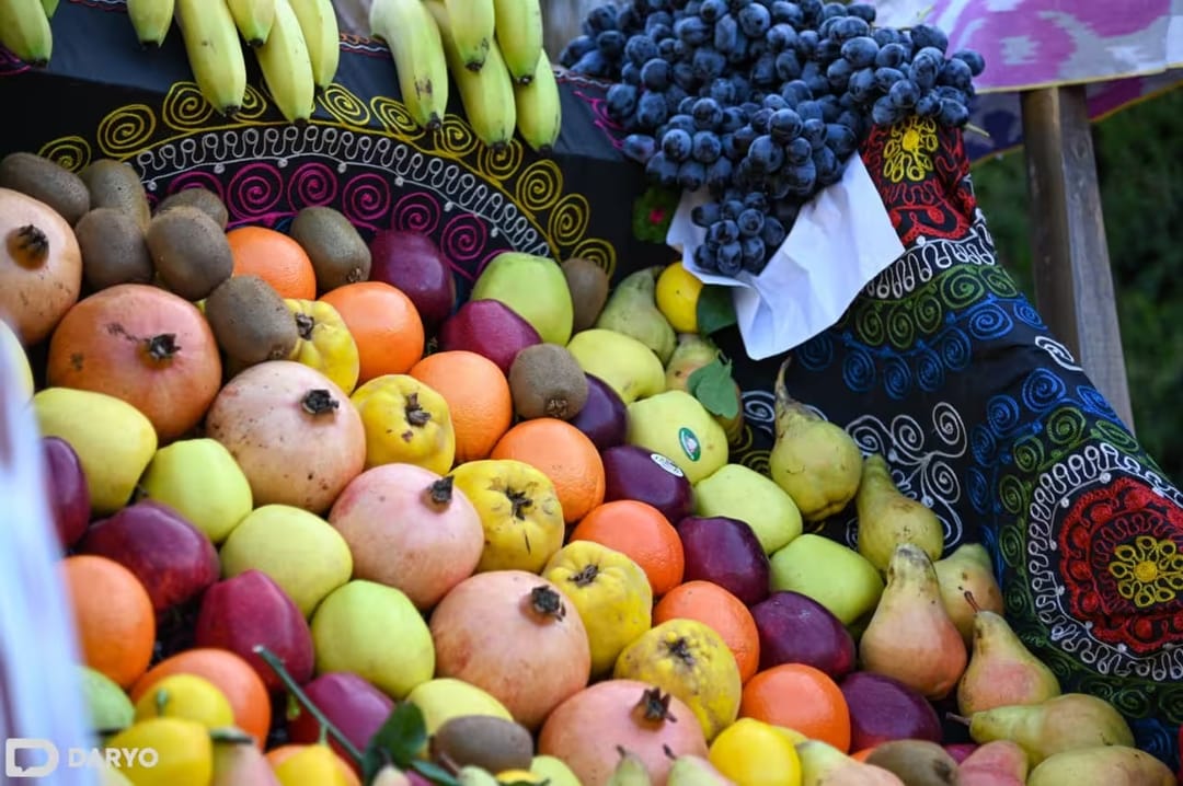 Özbegistan ýarym ýylda 360 million dollarlyk miwe eksport etdi