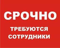 Срочно требуется декларант