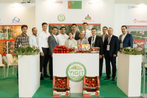 Eight Turkmen companies are participating in the Macfrut 2024 exhibition in Italy