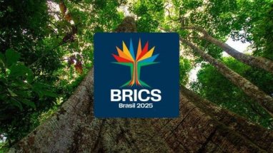 Brazil unveils logo for BRICS presidency in 2025