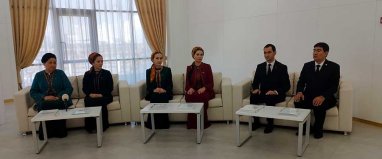 A round table on healthcare development was held in the city of Arkadag