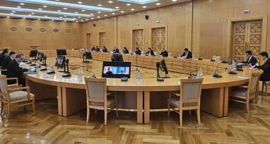 Türkmenistan'ın DTÖ üyeliğine ilişkin çalışma konuları üzerine Hükümet Komitesi'nin olağan toplantısı yapıldı