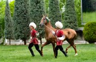 Akhal-Teke at güzellik yarışmasının ikinci turu Türkmenistan'da yapıldı